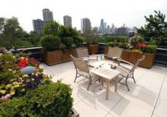 <b>通过讲述天台的汗青布景经发生过的风趣事务</b>